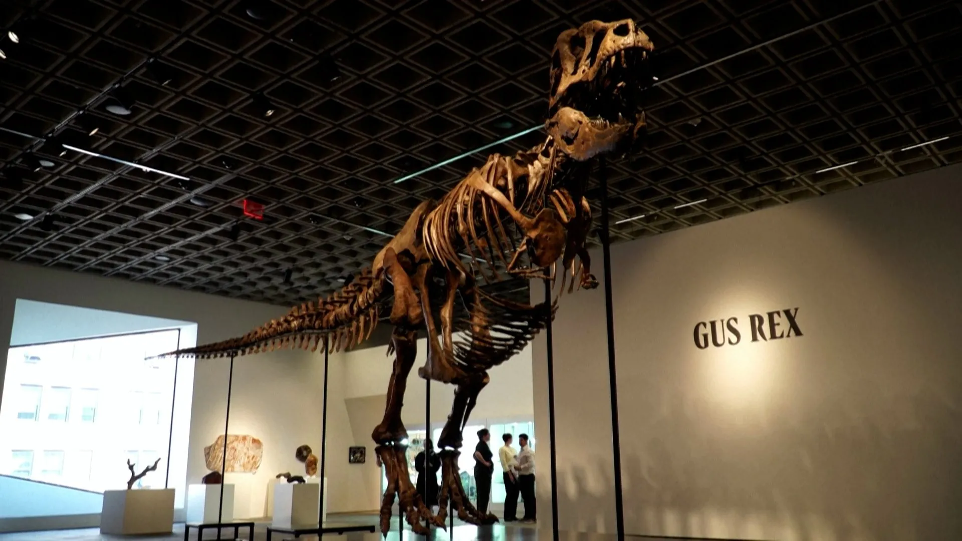 Ancient Tyrannosaurus Rex Skeleton Fetches Record Price at New York Auction