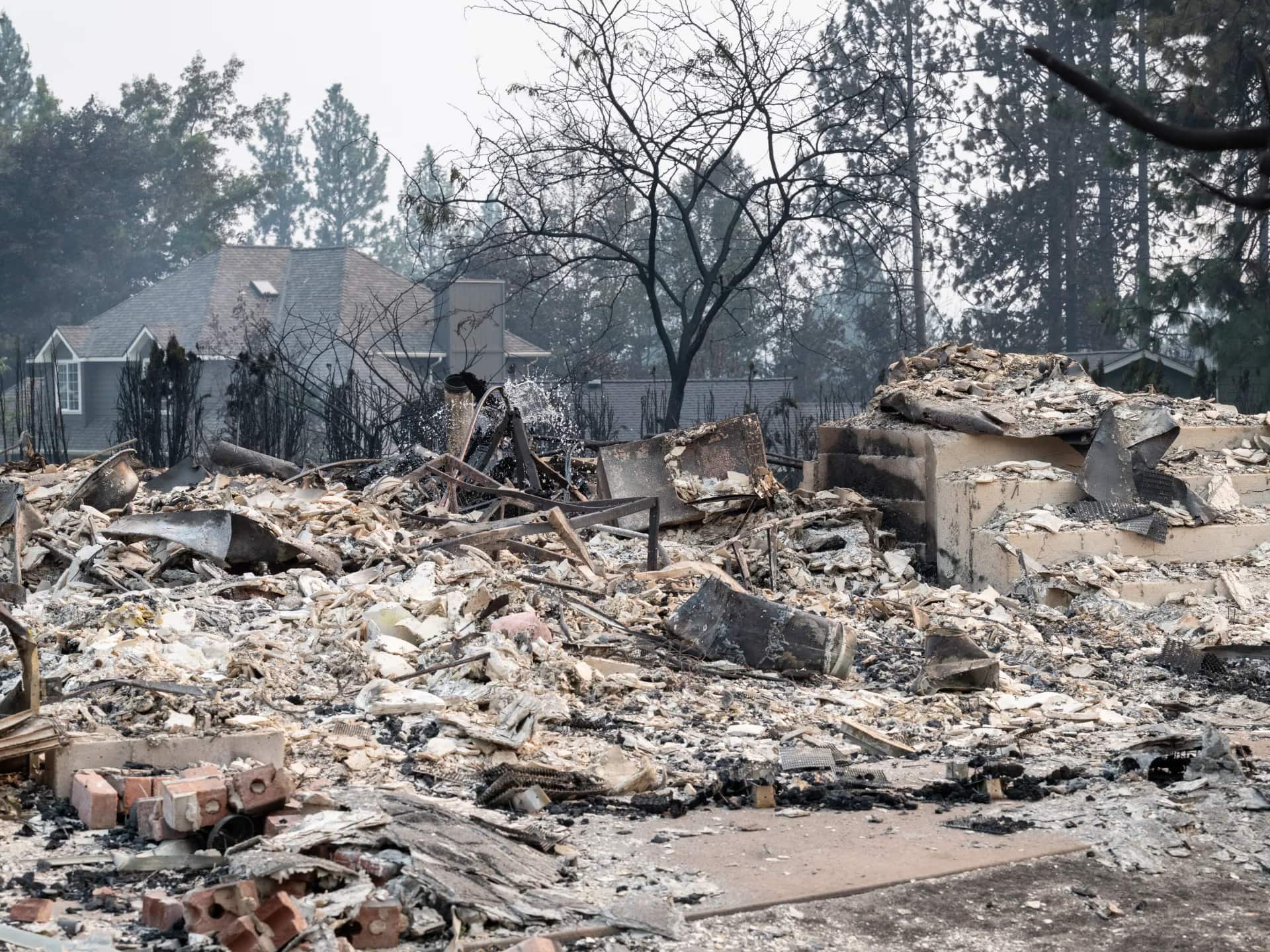 Arrest Made in Spokane Wildfire as Thousands Evacuated Amid Environmental Concerns