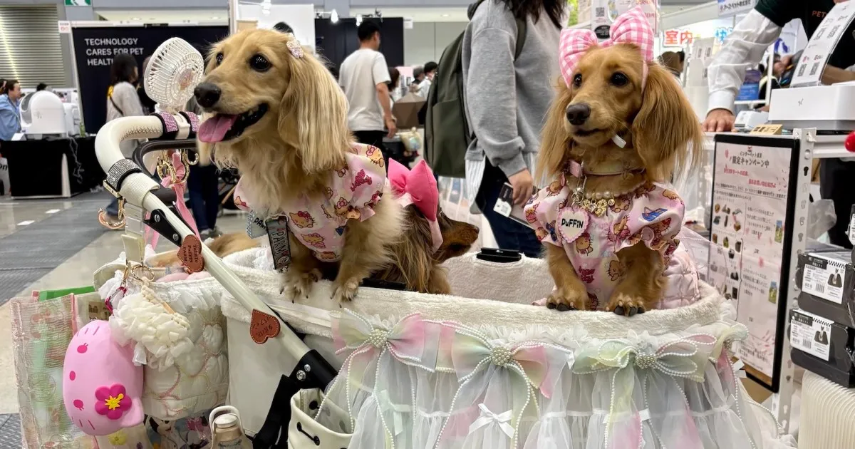 Japan's Pet Care Industry Flourishes Amidst Declining Birthrate