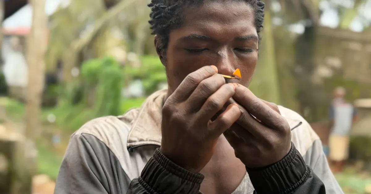 Liberia Grapples with Escalating Kush Crisis and Extensive Drug Trafficking Networks