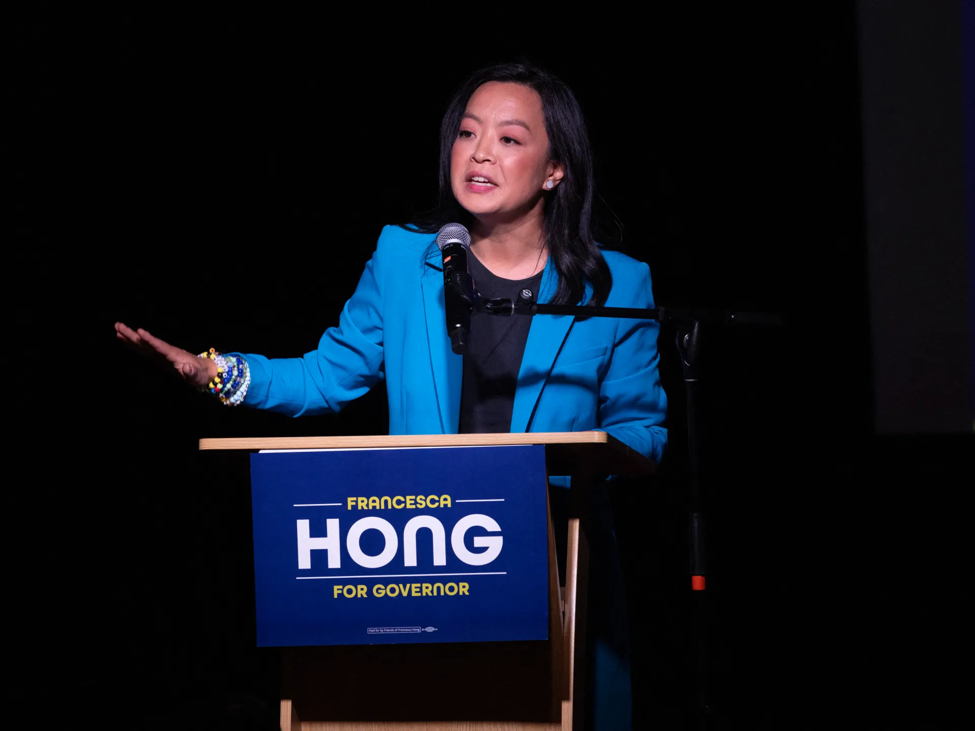 Primary Election Outcomes Reveal Intra-Party Divides and Shifting Political Landscapes