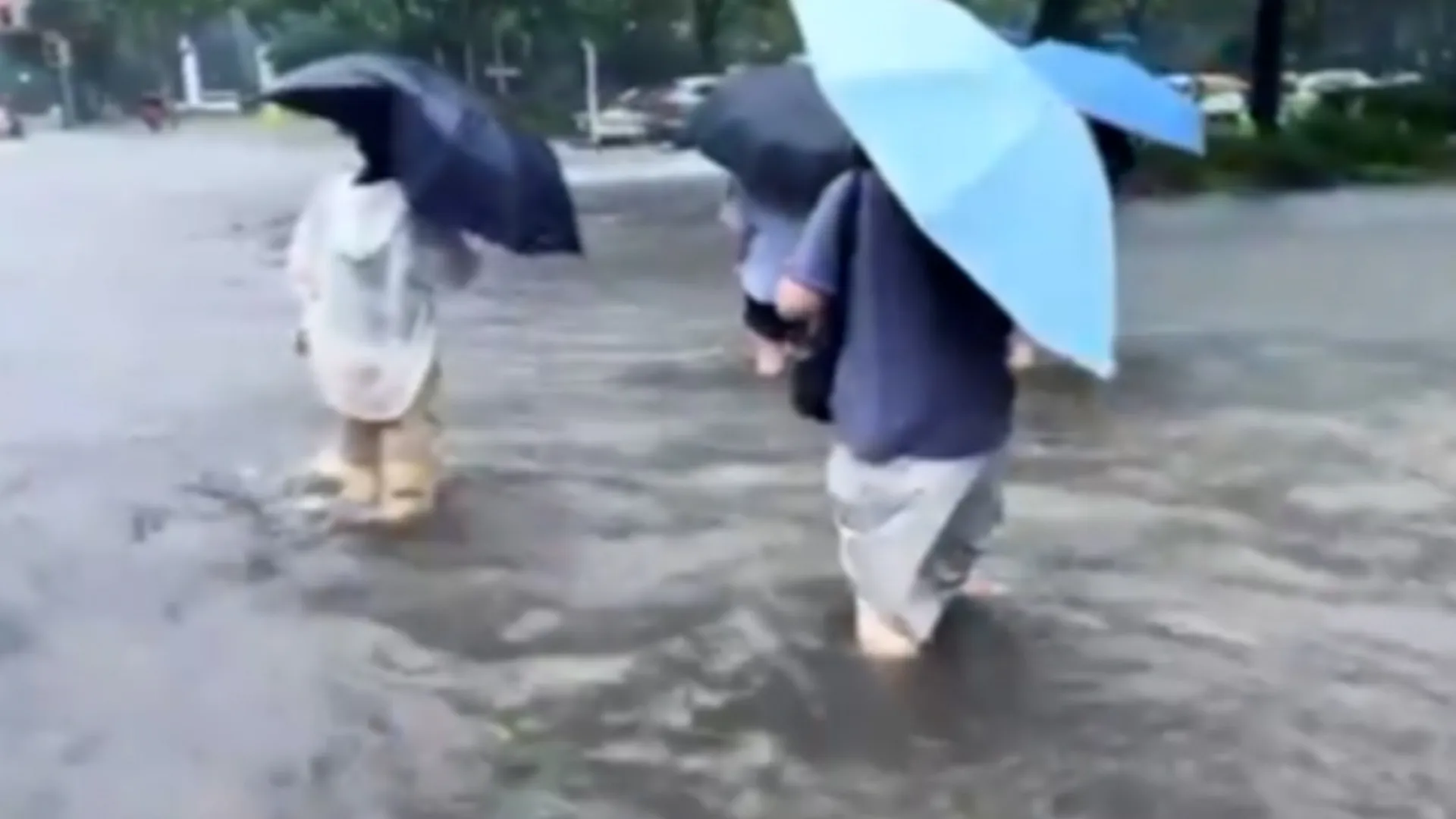 Typhoon Dolphin Triggers Mass Evacuations and Disruptions Across Eastern China
