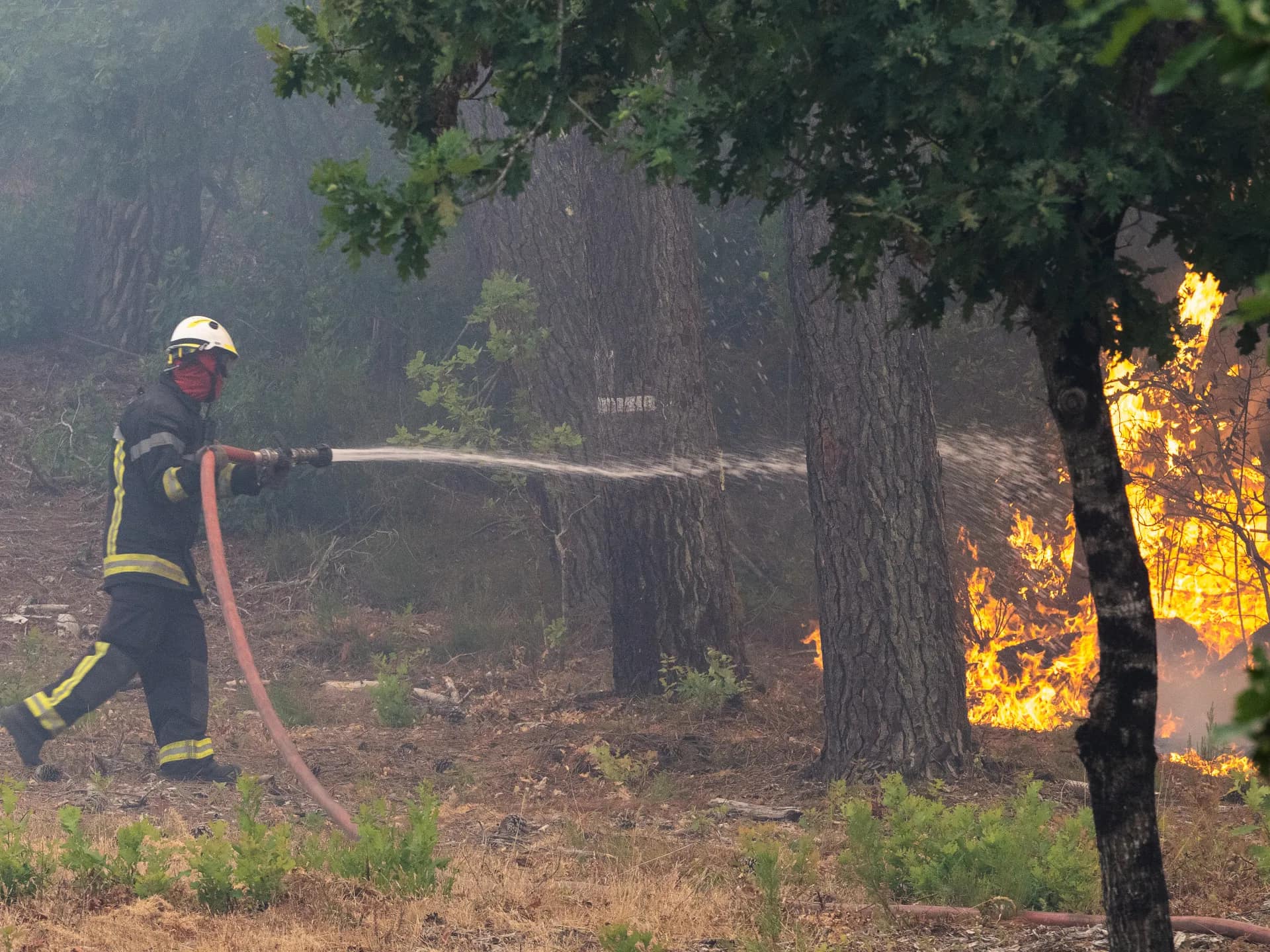 Unprecedented Wildfires Force Mass Evacuations Across Spain and France
