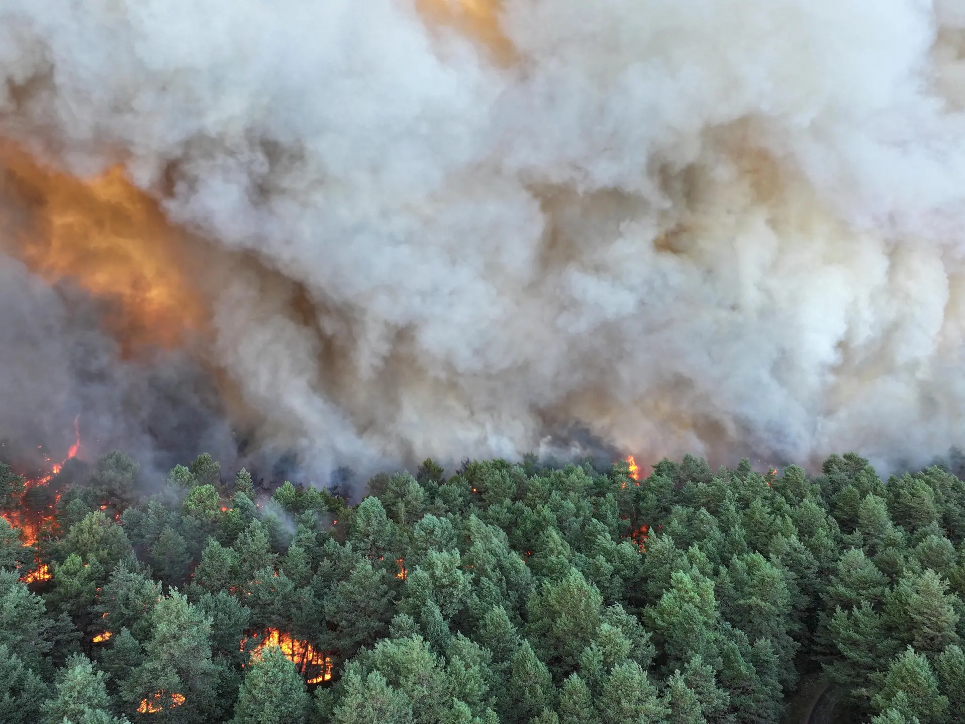 Wildfires Near Paris Lead to Evacuations and Transport Disruptions Amidst Heatwave